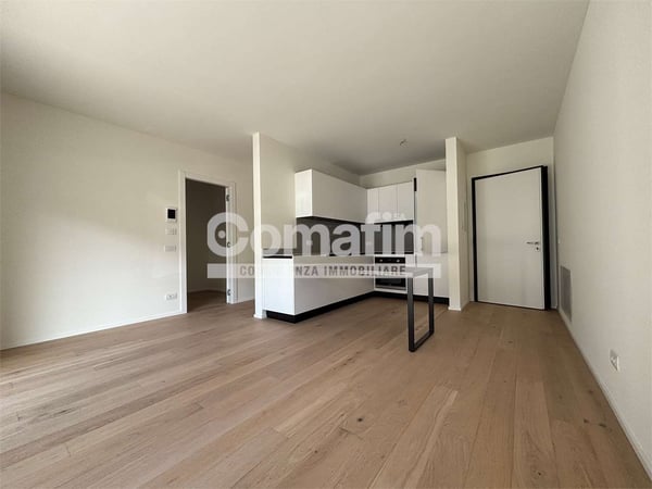 Chiasso : 1.5 locali al PT con terrazzo e giardino 2