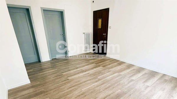 Luminoso 1.5 locali a Viganello 2