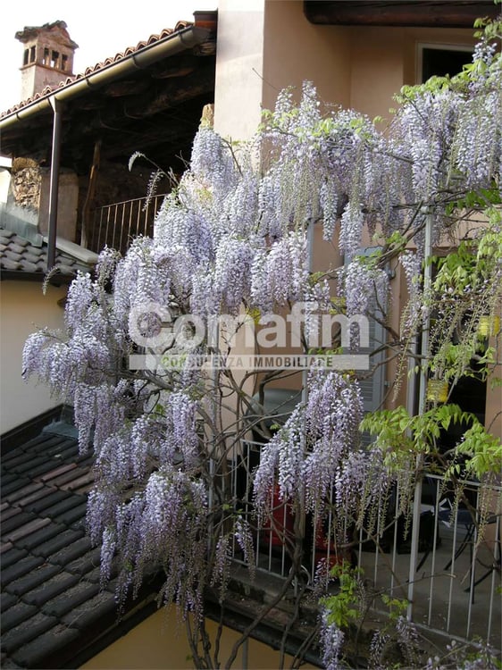 Grazioso appartamento nel nucleo di Rovio 8