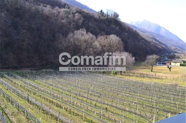 Appartamento 1.5 a Cadenazzo con balcone 3