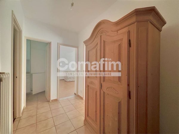 Ottima offerta!!! 1.5 locali ad Agno 2