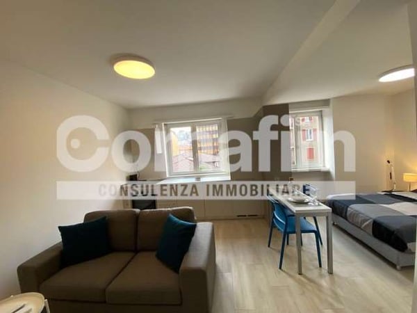 Appartamento ammobiliato a Lugano 8