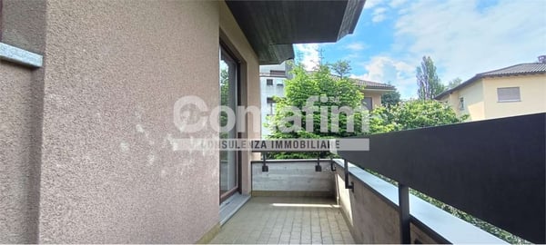 Spazio e luminosità al tuo servizio 11