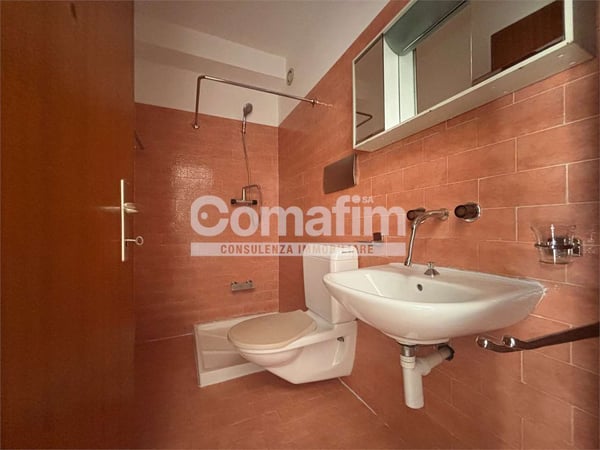 Viganello, 1.5 locali in zona tranquilla 10