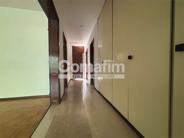 Viganello, 1.5 locali in zona tranquilla 2