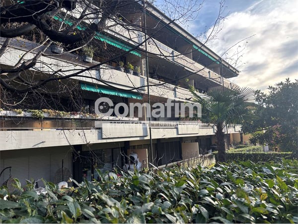 Viganello, 1.5 locali in zona tranquilla 1