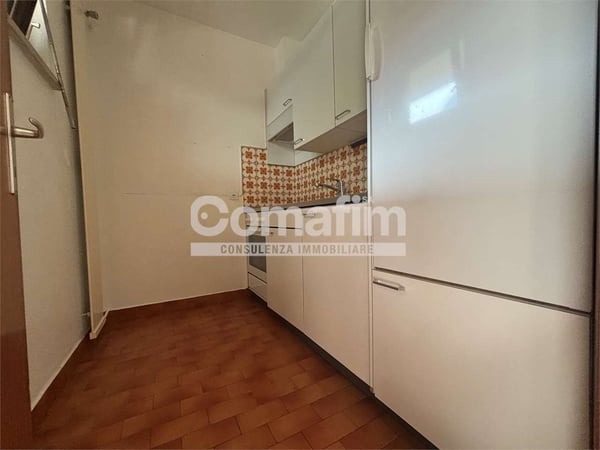 Viganello, 1.5 locali in zona tranquilla 5