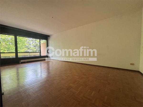 Viganello, 1.5 locali in zona tranquilla 3