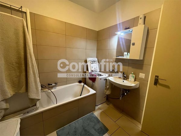 Affittasi Appartamento 1.5 Locali - Caslano 13