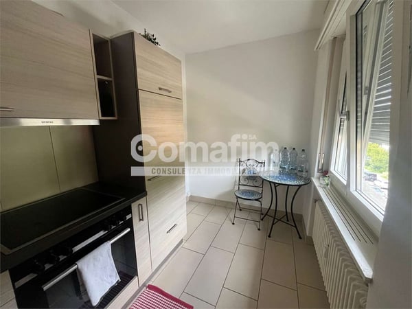 Affittasi Appartamento 1.5 Locali - Caslano 4