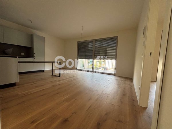 Chiasso : 1.5 locali al 1P - Moderno con terrazzo 1