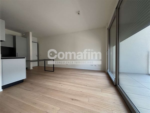 Chiasso : 1.5 locali al 1P - Moderno con terrazzo 4