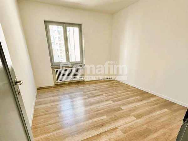 Luminoso 1.5 locali a Viganello 1