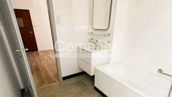 Luminoso 1.5 locali a Viganello 3