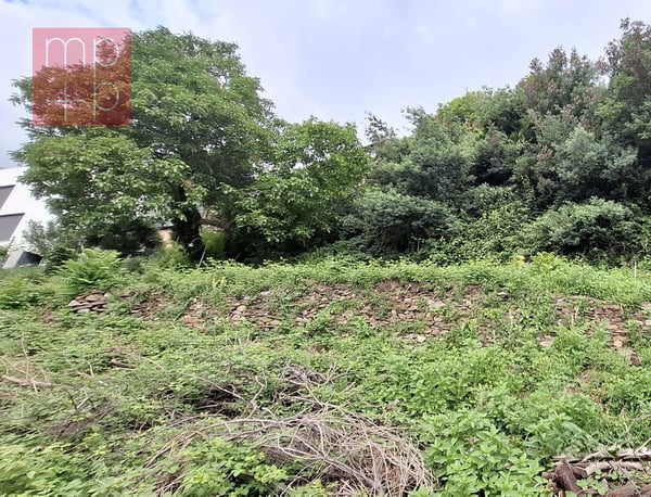 Terreno per costruire - Brissago 7