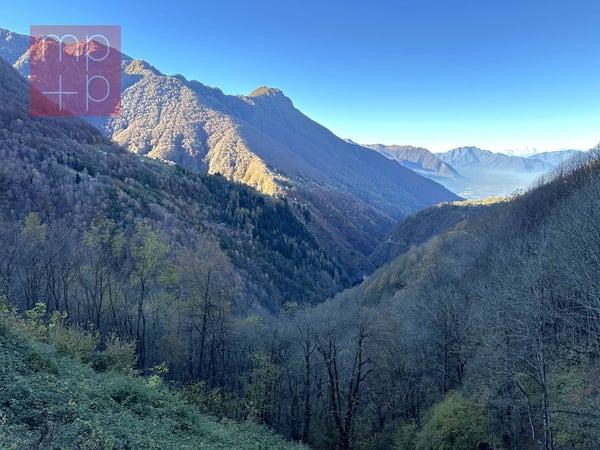 Casa unifamiliare - Bellinzona 1