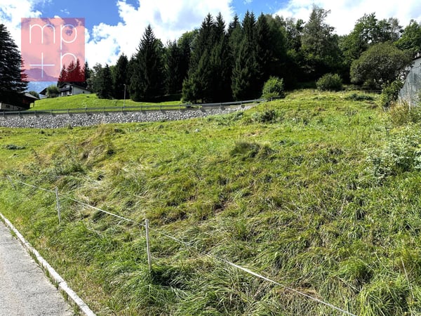 Terreno per costruire - Dalpe 1