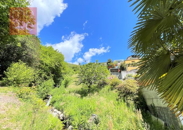 Terreno per costruire - Tenero-Contra 4