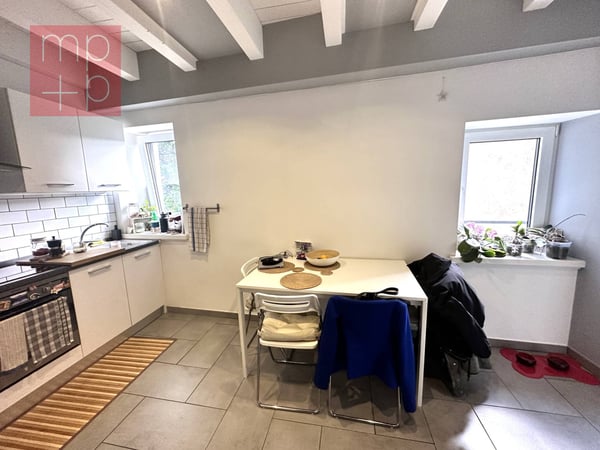 Appartamento - Viganello 2