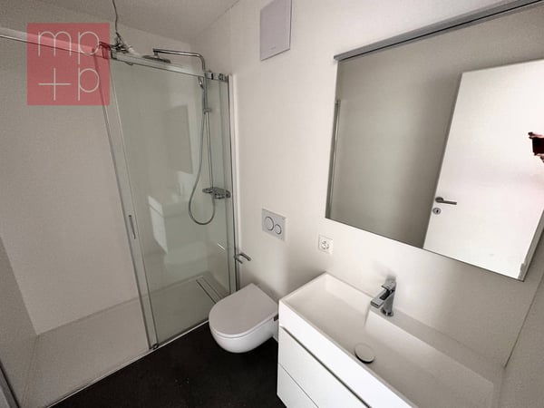 Appartamento - Sonvico 8