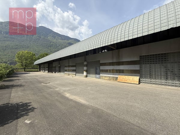 Fabbrica - Biasca 2
