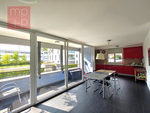 Appartamento - Chiasso 3