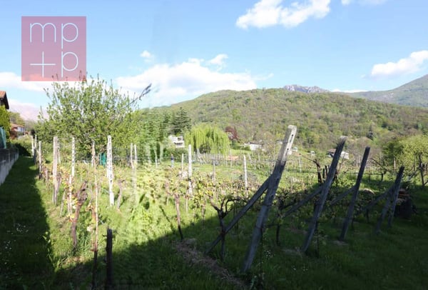 Terreno per costruire - Lopagno 6
