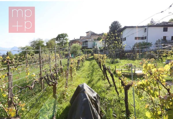 Terreno per costruire - Lopagno 7