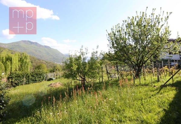 Terreno per costruire - Lopagno 5