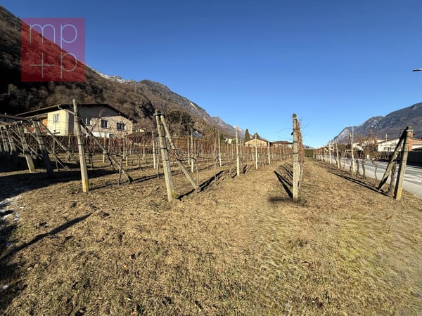Terreno per costruire - Gnosca 2