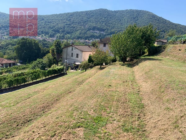 Terreno per costruire - Neggio 3
