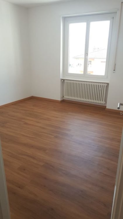 Affittasi a Viganello appartamento recentemente ristrutturato di 1 locali 5