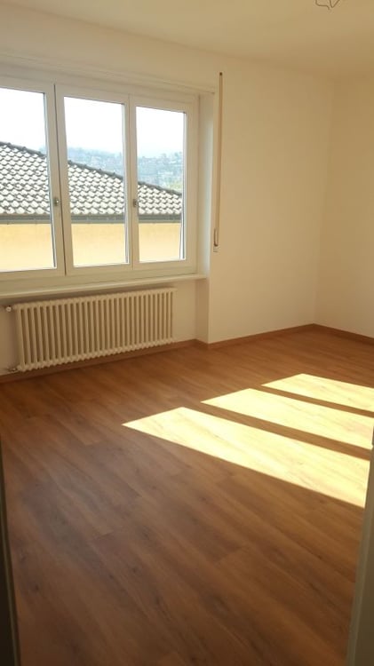 Affittasi a Viganello appartamento recentemente ristrutturato di 1 locali 1