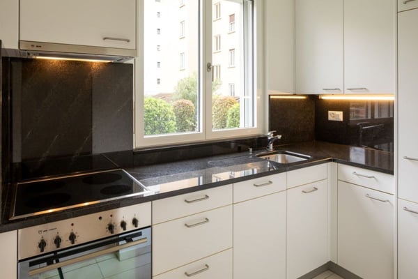 Affittasi moderno e spazioso 2 1/2 locali a Lugano 3