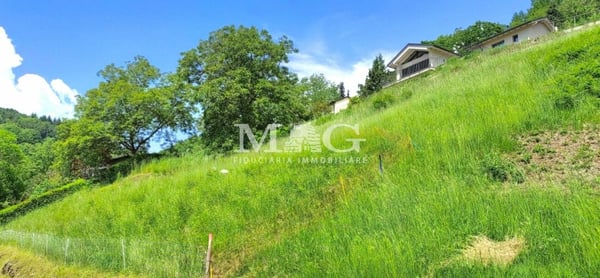 Aranno: Terreno edificabile con ottimo soleggiamento 5