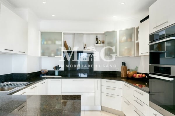 Lugano - Appartamento 1.5 locali di 300 mq comm.li al 1° piano con terrazzo e giardino privato 9