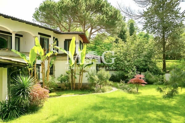 Montagnola: Villa Mediterranea mq. 310 + 99 mq ulteriori - fascino e privacy 5