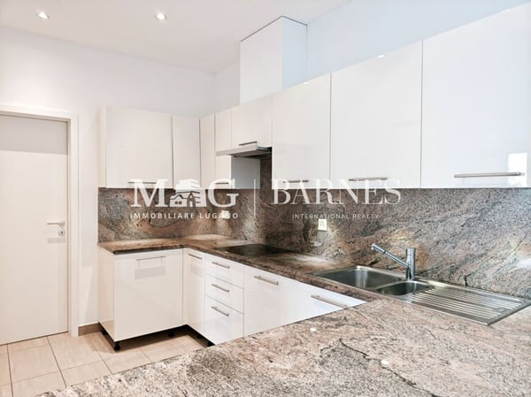 Lugano: Casa a schiera di ampie dimensioni adatta alle famiglie, 210 mq. superficie commerciale 5