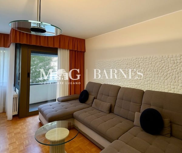 Lugano, Cassarate: Appartamento 1.5 Locali a due passi dal centro 2