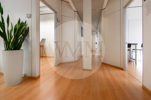 ELEGANTE UFFICIO NEL CUORE DI LUGANO 8