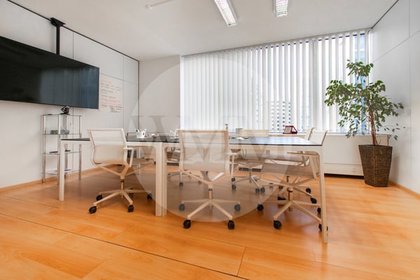 ELEGANTE UFFICIO NEL CUORE DI LUGANO 3