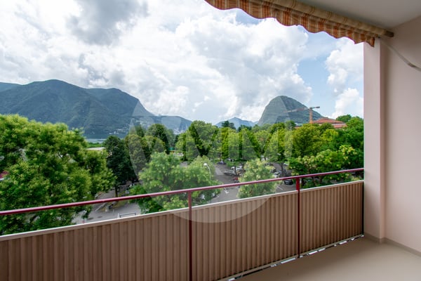 GRANDE 1.5 LOCALI A CASSARATE VISTA LAGO