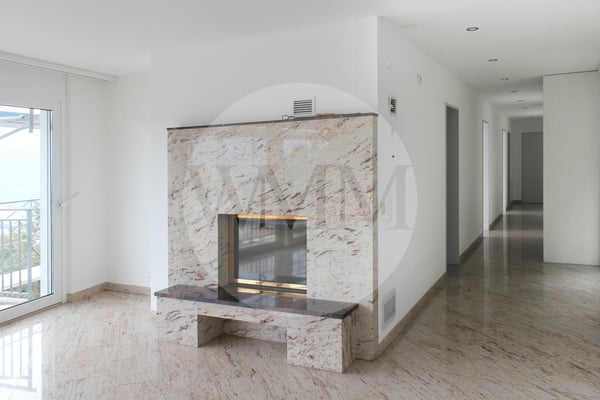 APPARTAMENTO 1.5 LOCALI CON AMPIA TERRAZZA E VISTA LAGO 2