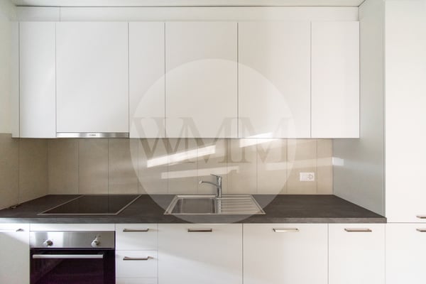 APPARTAMENTO 1.5 LOCALI COMPLETAMENTE NUOVO 3