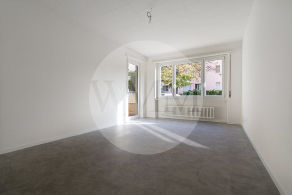 APPARTAMENTO 1.5 LOCALI COMPLETAMENTE NUOVO 10