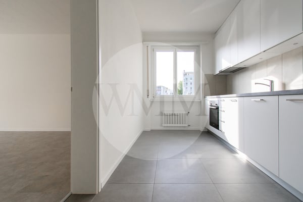 APPARTAMENTO 1.5 LOCALI COMPLETAMENTE NUOVO 2