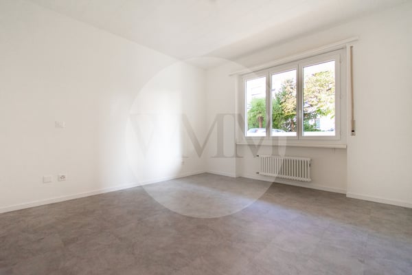 APPARTAMENTO 1.5 LOCALI COMPLETAMENTE NUOVO 7