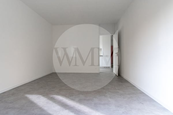 APPARTAMENTO 1.5 LOCALI COMPLETAMENTE NUOVO 11