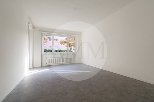 APPARTAMENTO 1.5 LOCALI COMPLETAMENTE NUOVO 9