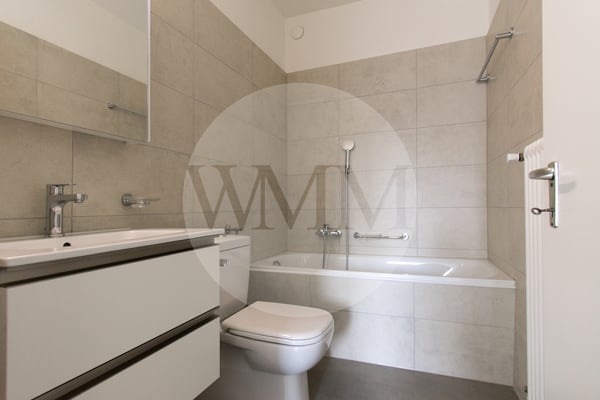 APPARTAMENTO 1.5 LOCALI COMPLETAMENTE NUOVO 6